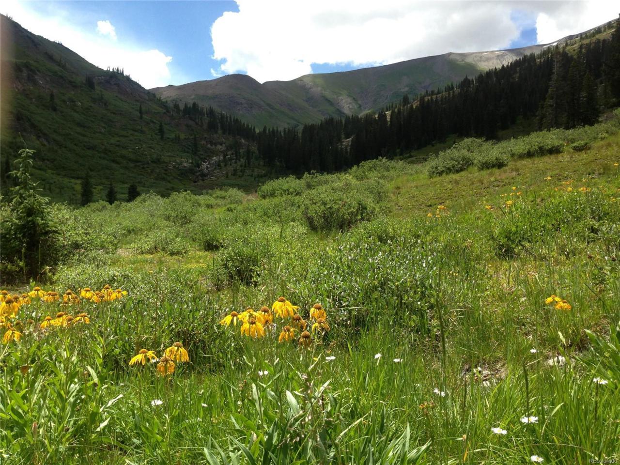Forest Service Rd 552 Off Cr 734 Road Road - Photo 1
