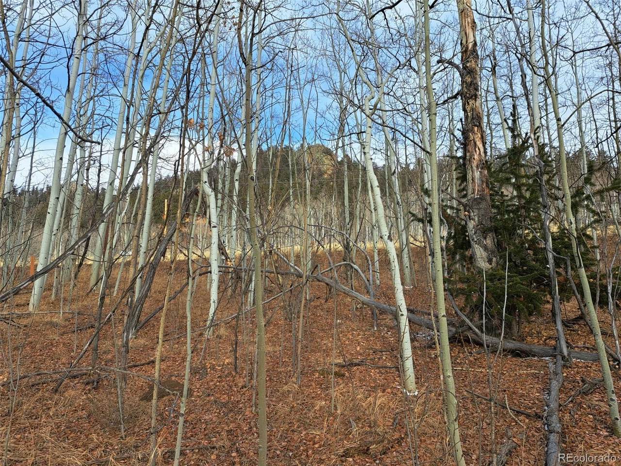 503 Sugar Loaf Lane - Photo 1