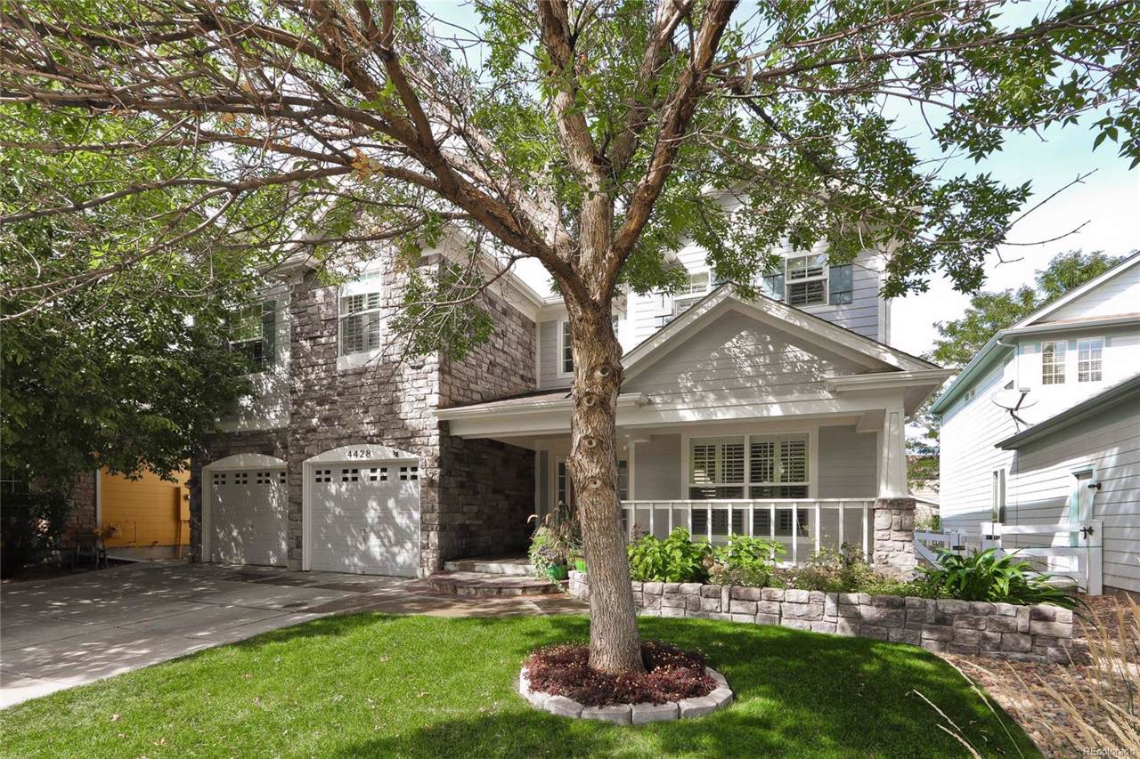 4428 Bella Vista Drive - Photo 1