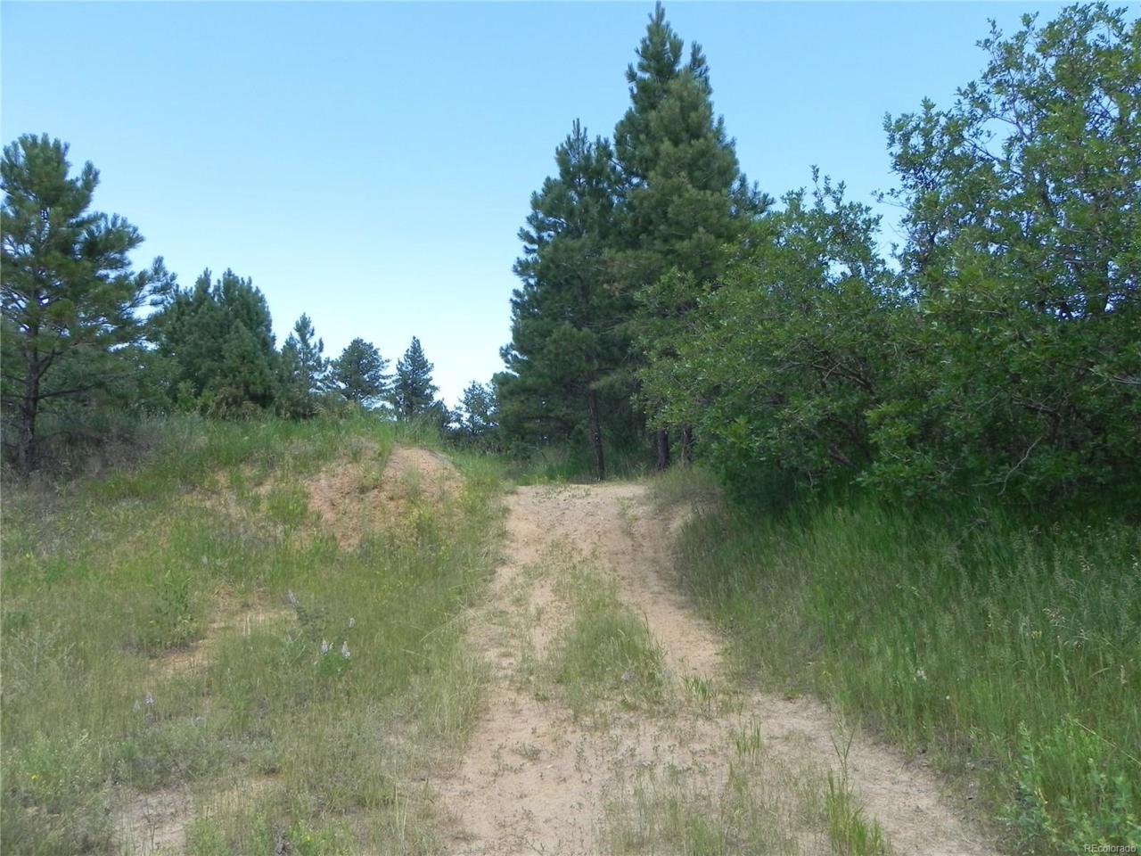 6331 Sunflower Drive - Photo 1