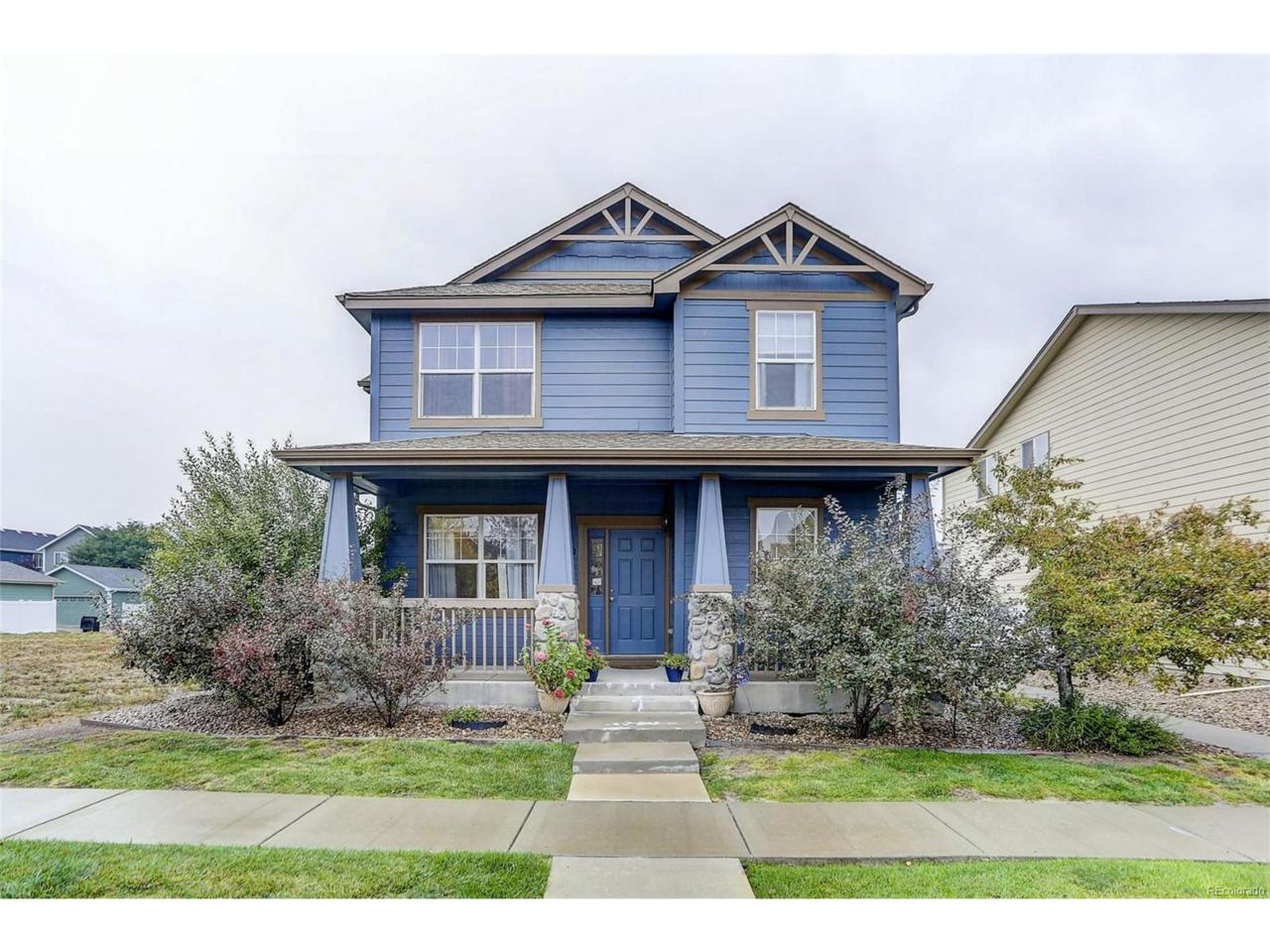 4599 Quandary Peak Street - Photo 1