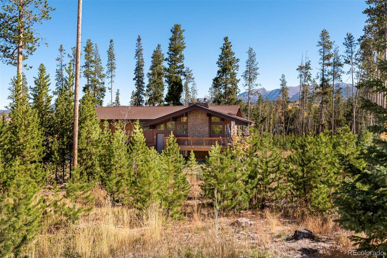682 Forest Trail - Photo 1