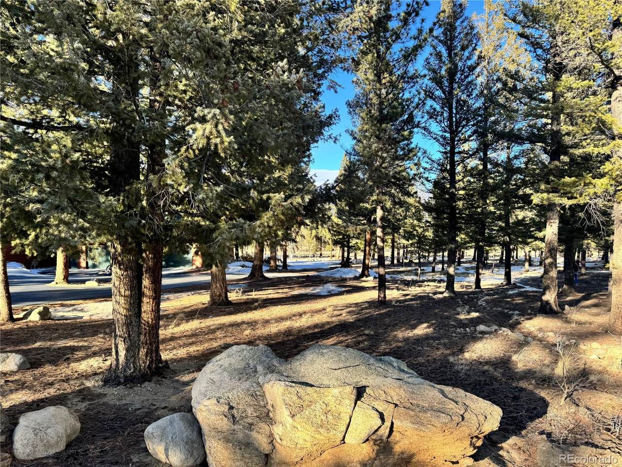 30470 Harvard Circle - Photo 1