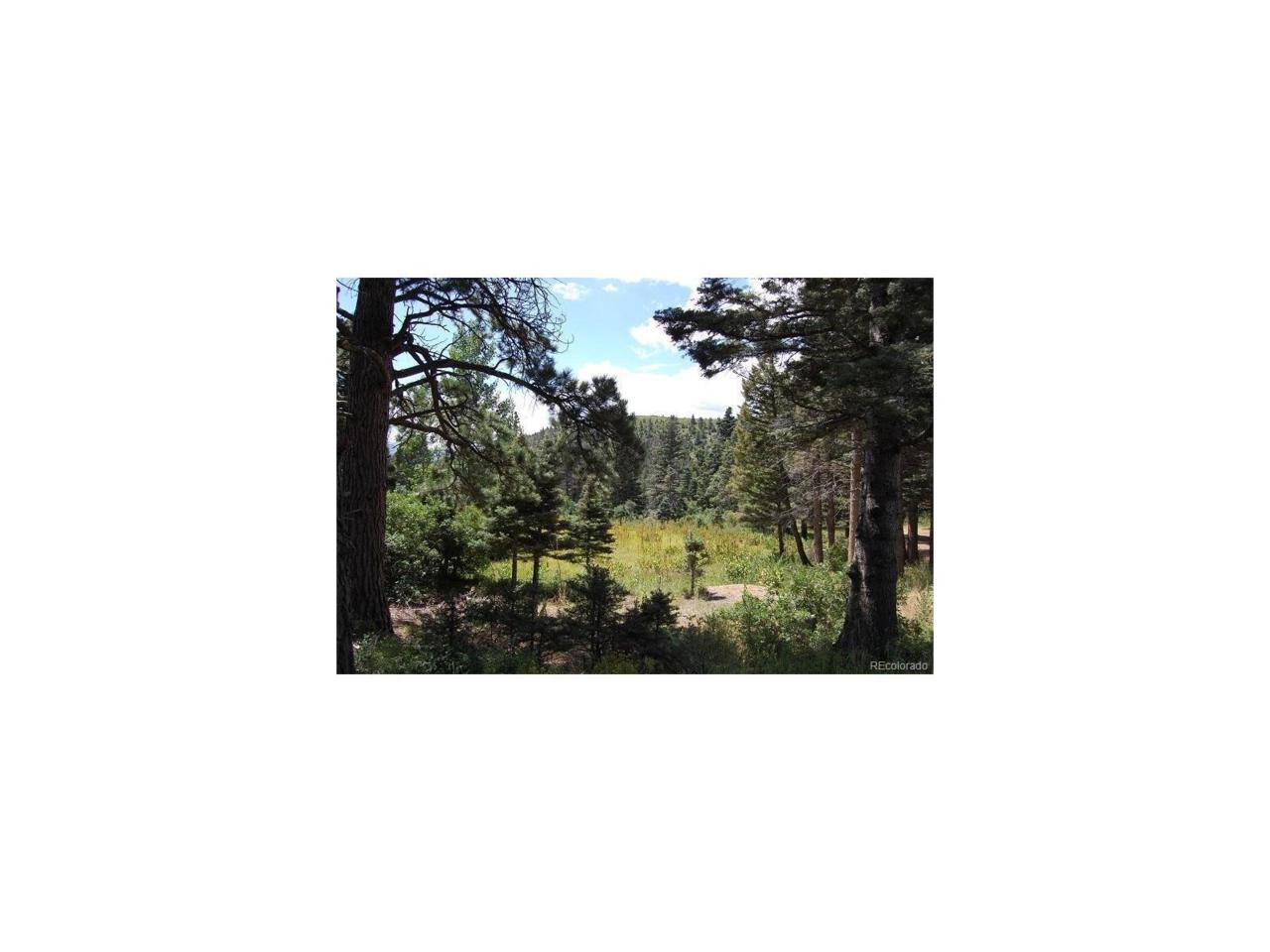 Tbd Tres Valles West - Photo 1