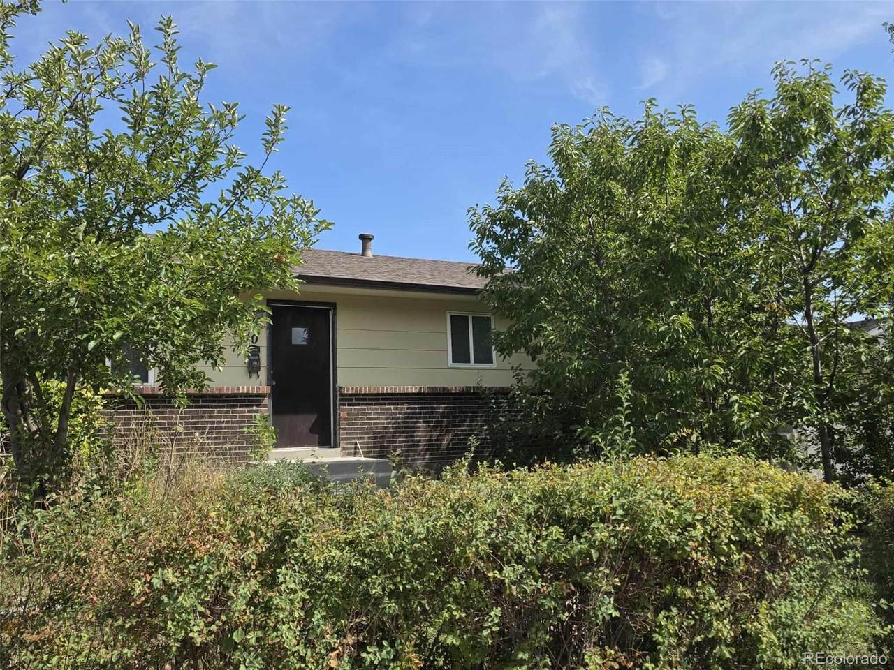 1610 Longs Peak Drive - Photo 1