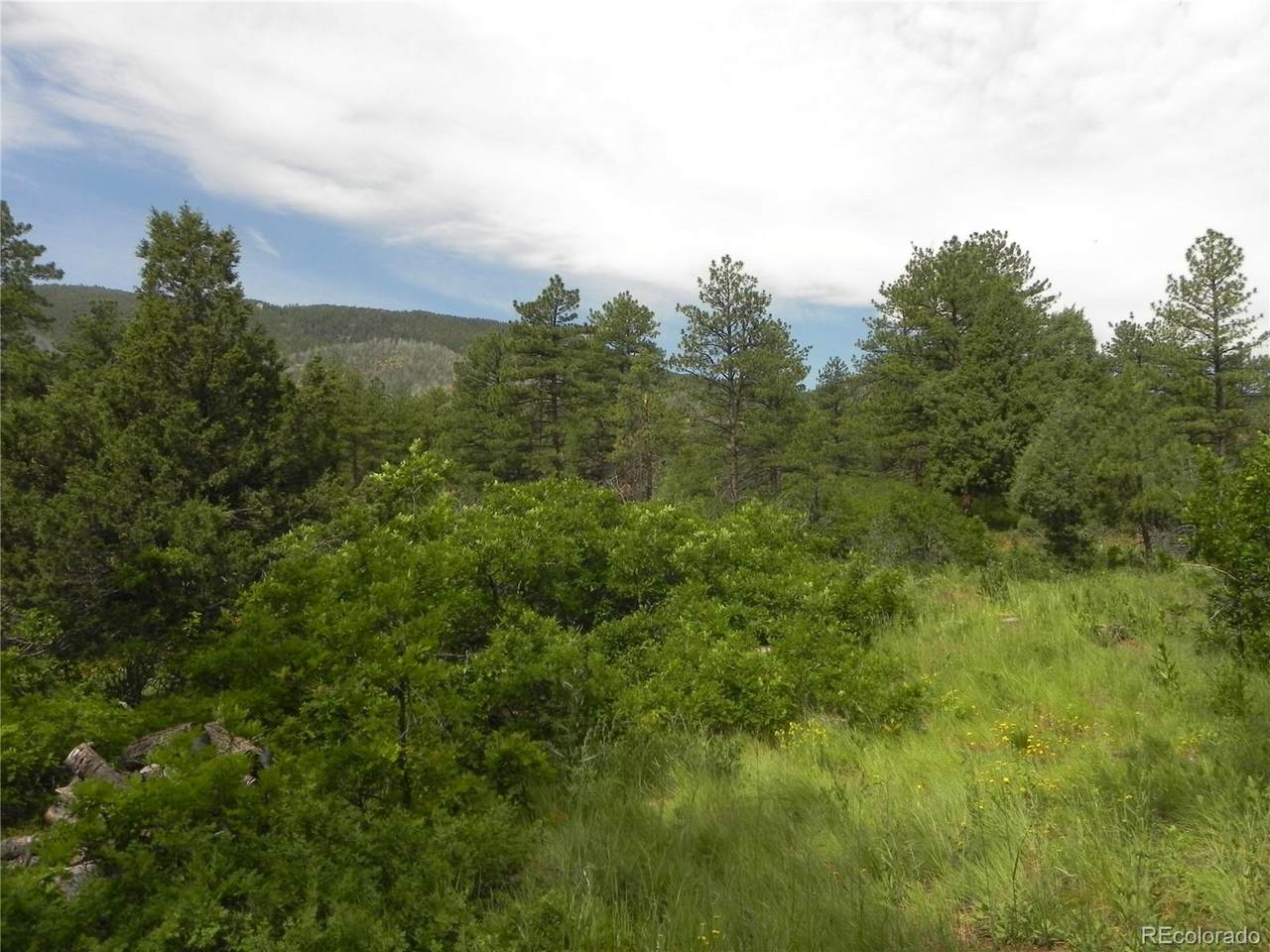 8160 Bannock Drive - Photo 1