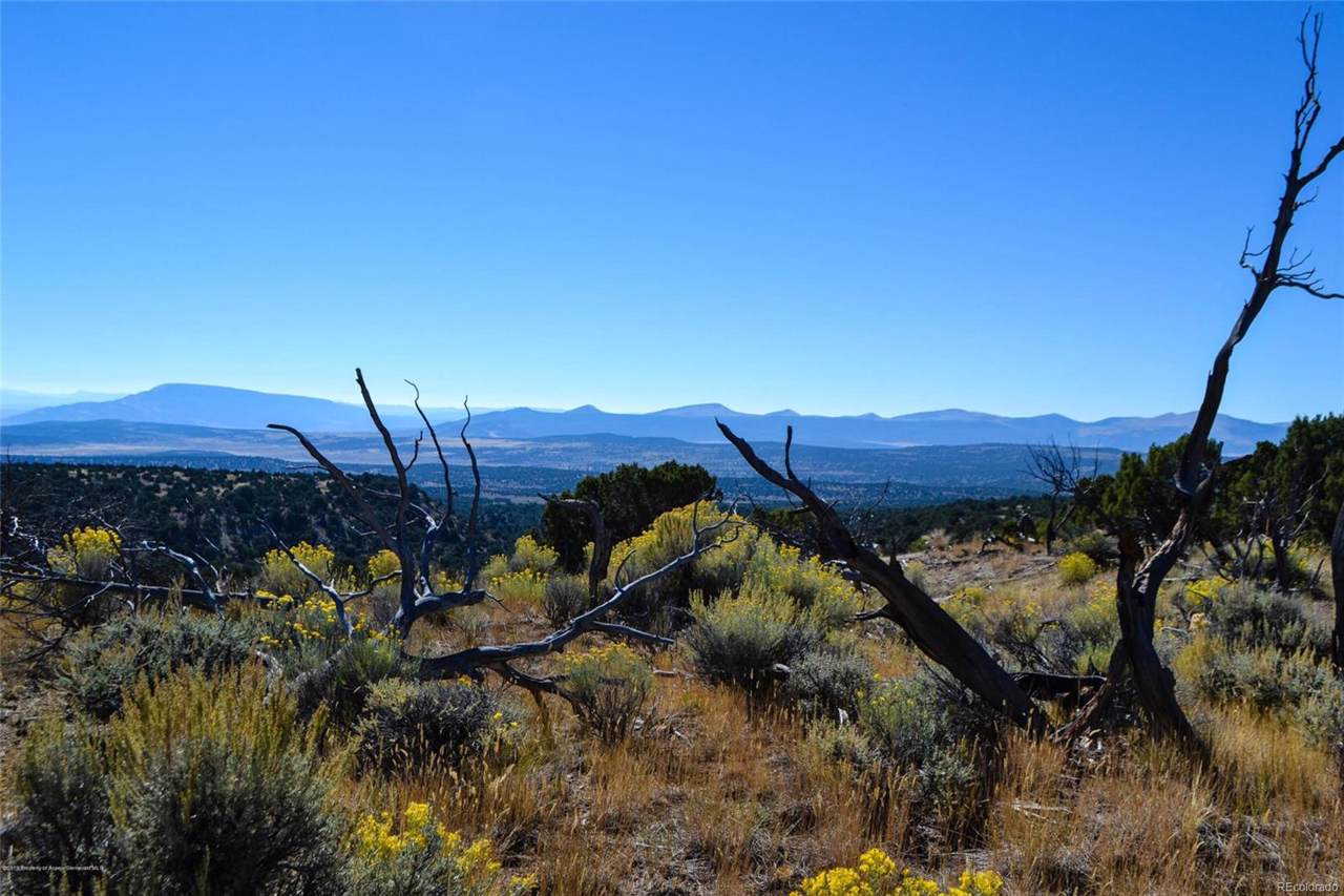 Sand Wash Ranch - Photo 1