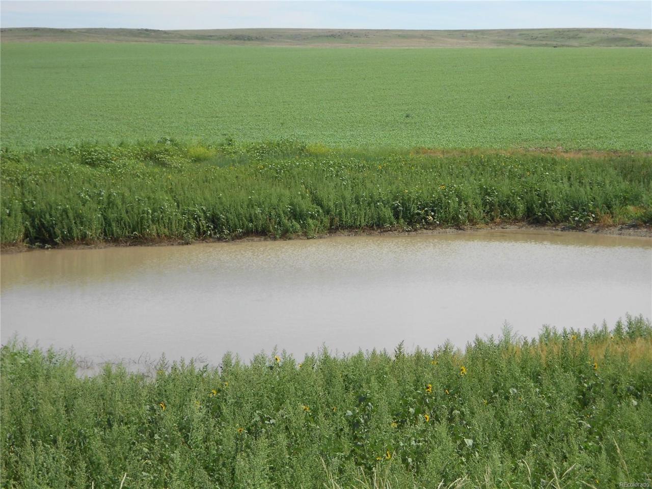 County 35 Road - Photo 1