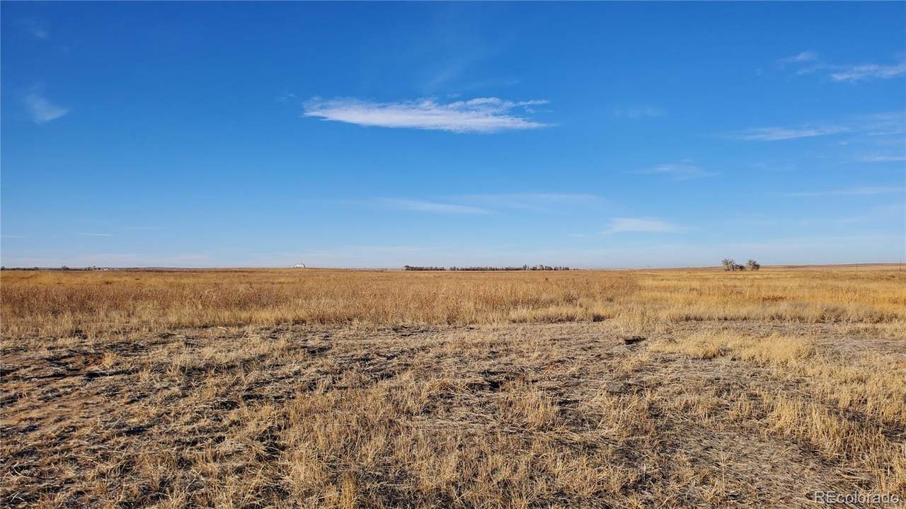 8881 County Road 77 - Photo 1