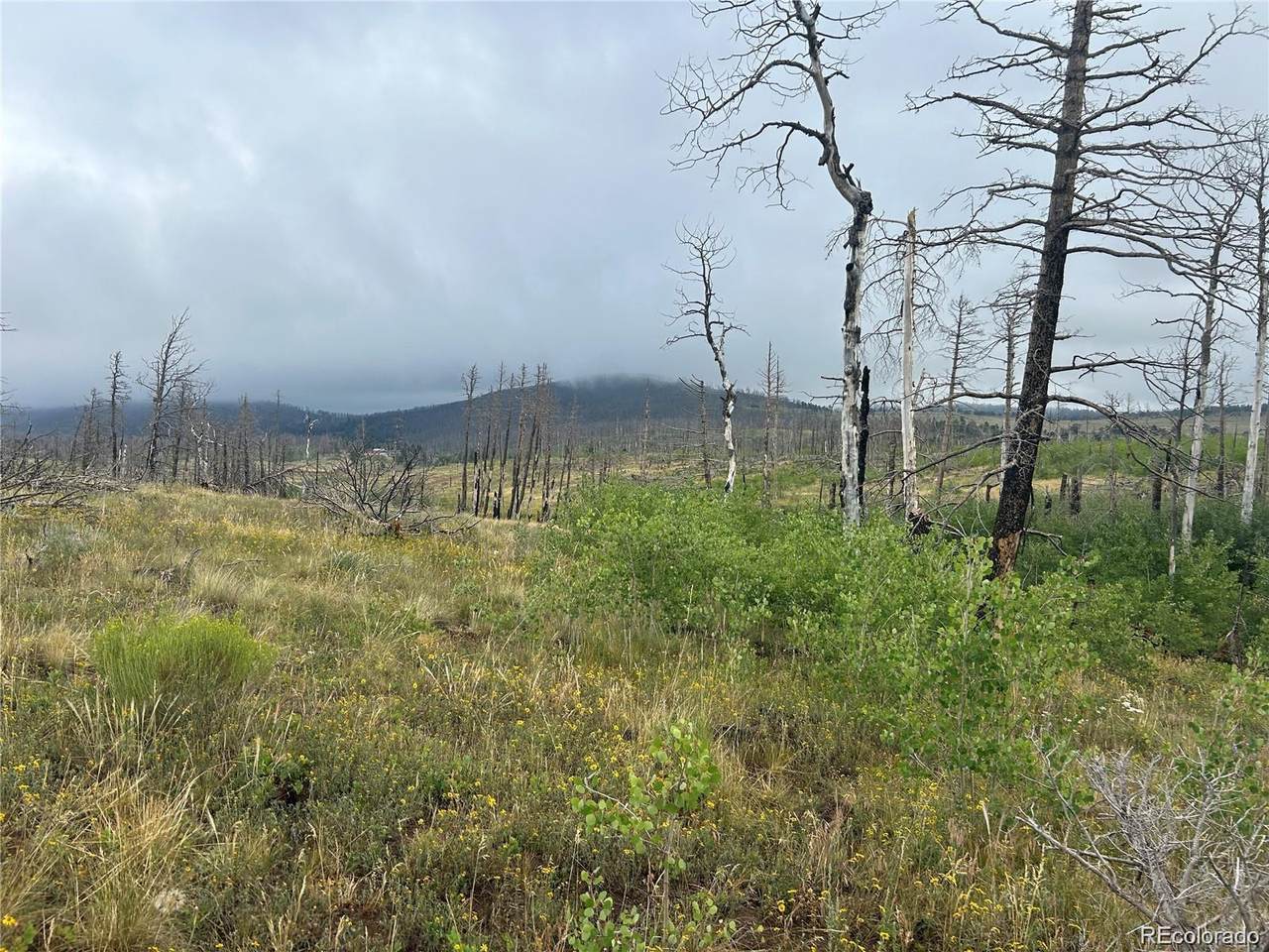 00 Korlkoff Lane - Photo 1