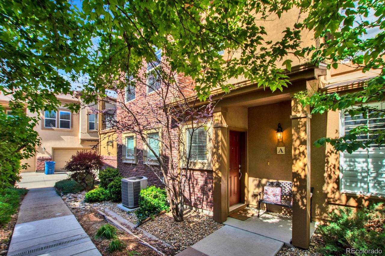 9451 Elmhurst Lane - Photo 1