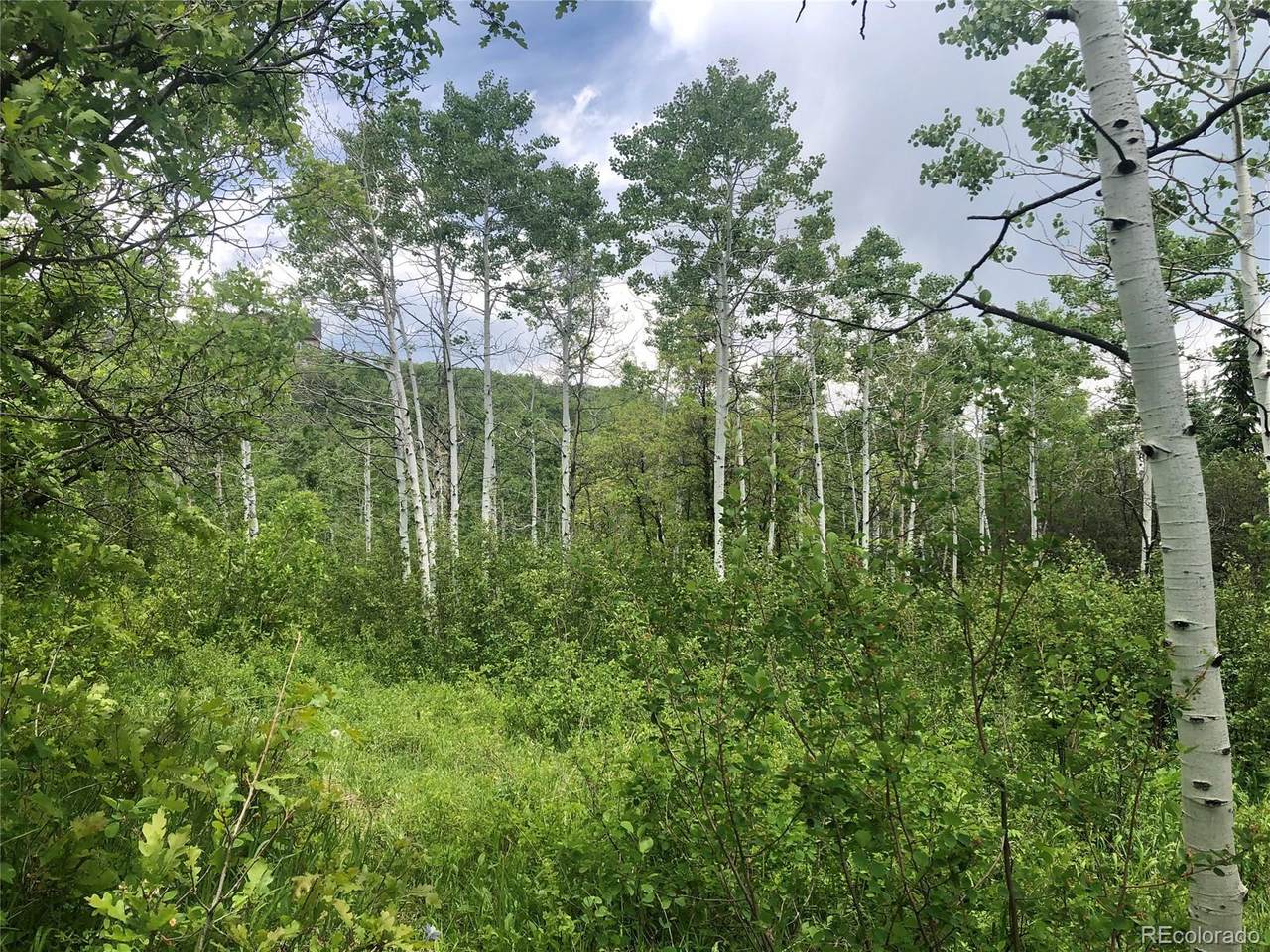 31090 Fallen Falcon Trail - Photo 1
