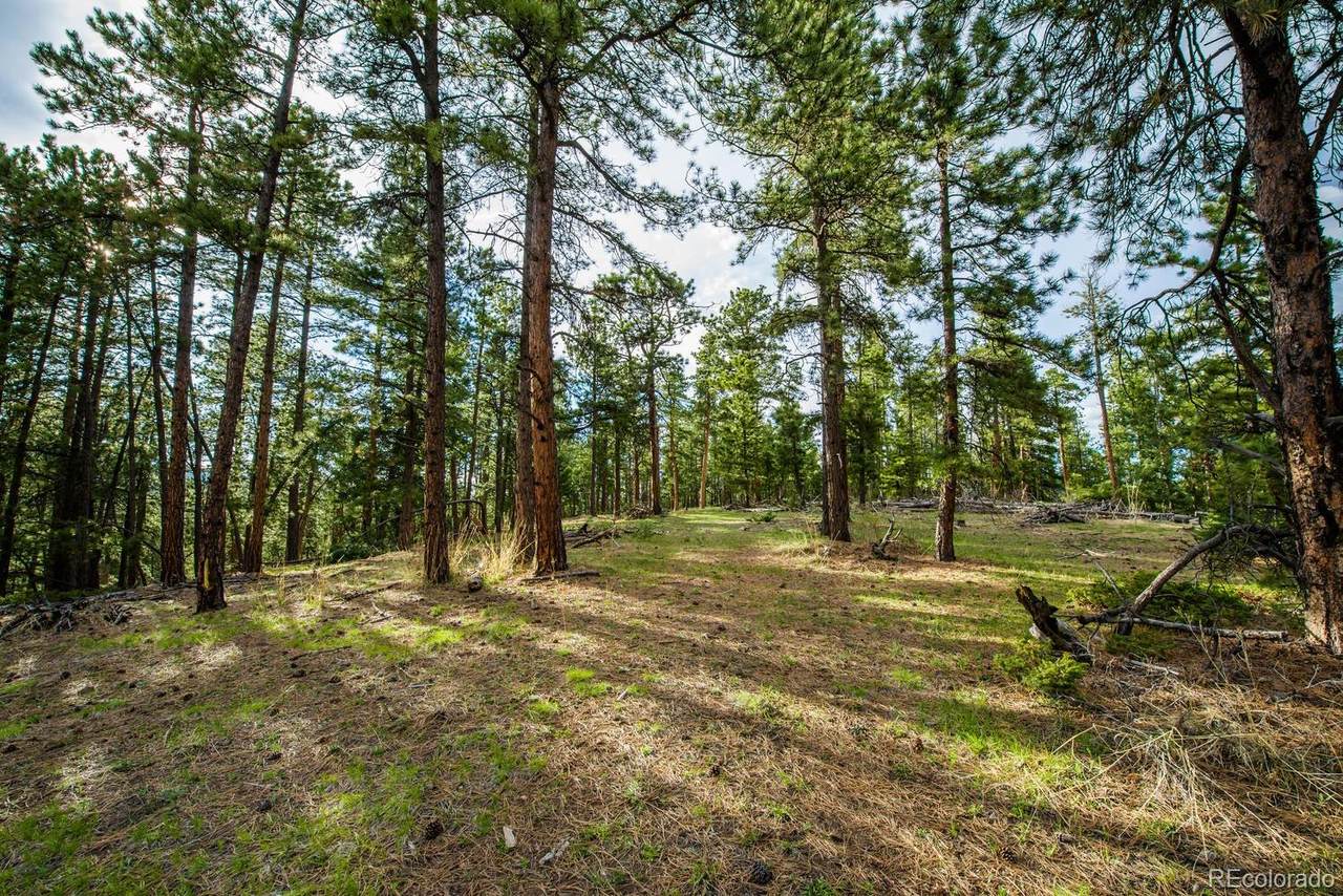 10250 Highway 73 - Photo 1