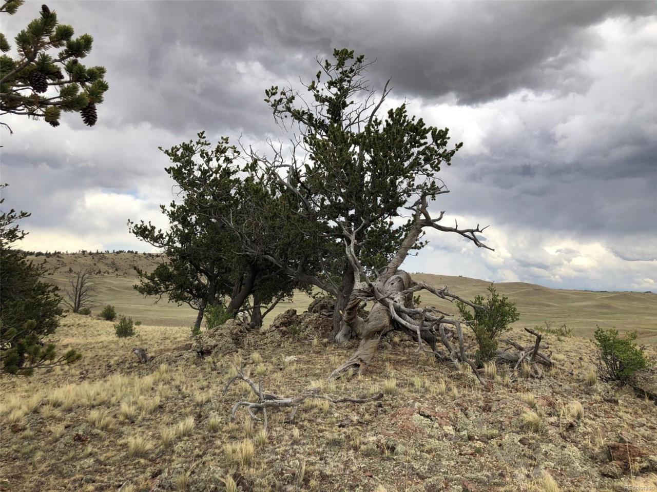 00 Caddo Road - Photo 1