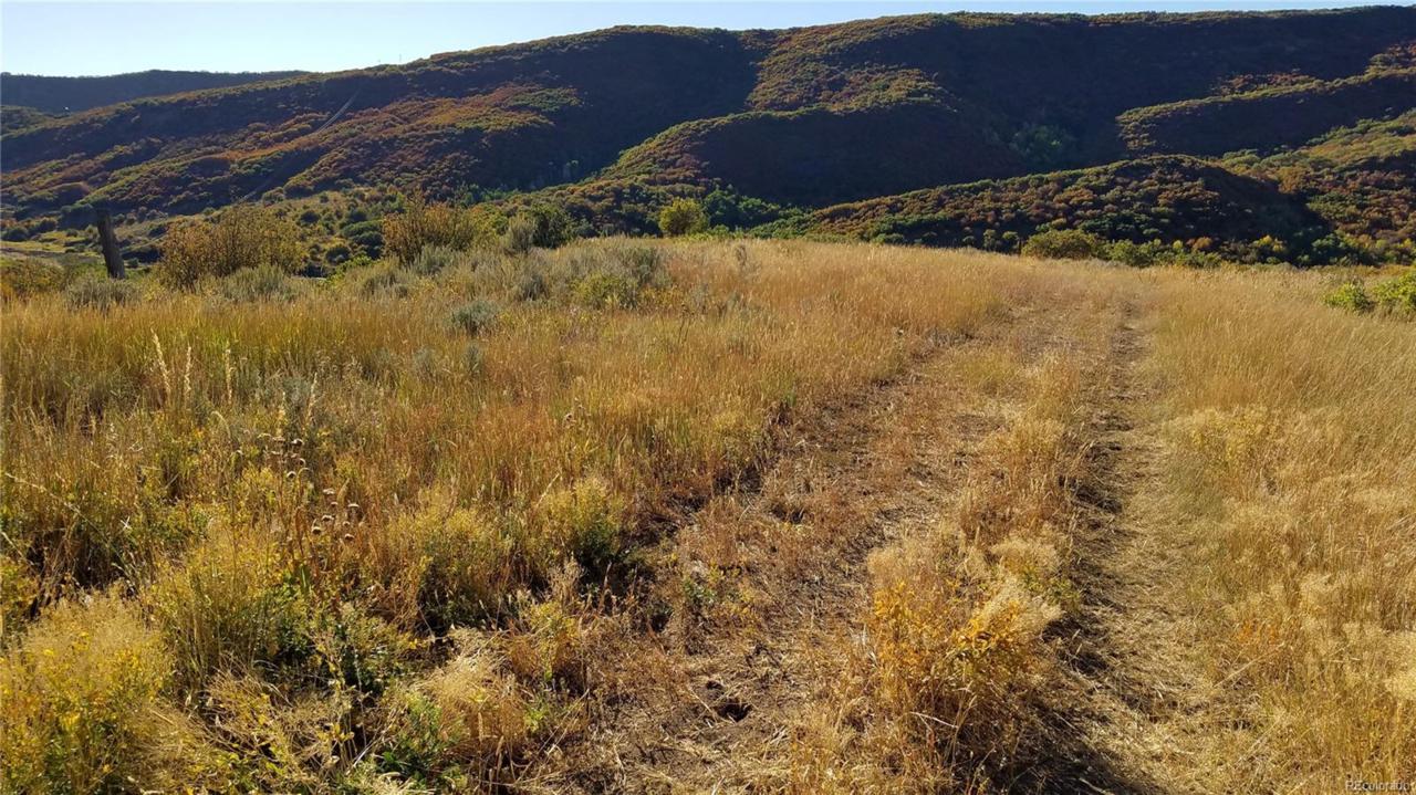 Hwy 131 - Photo 1