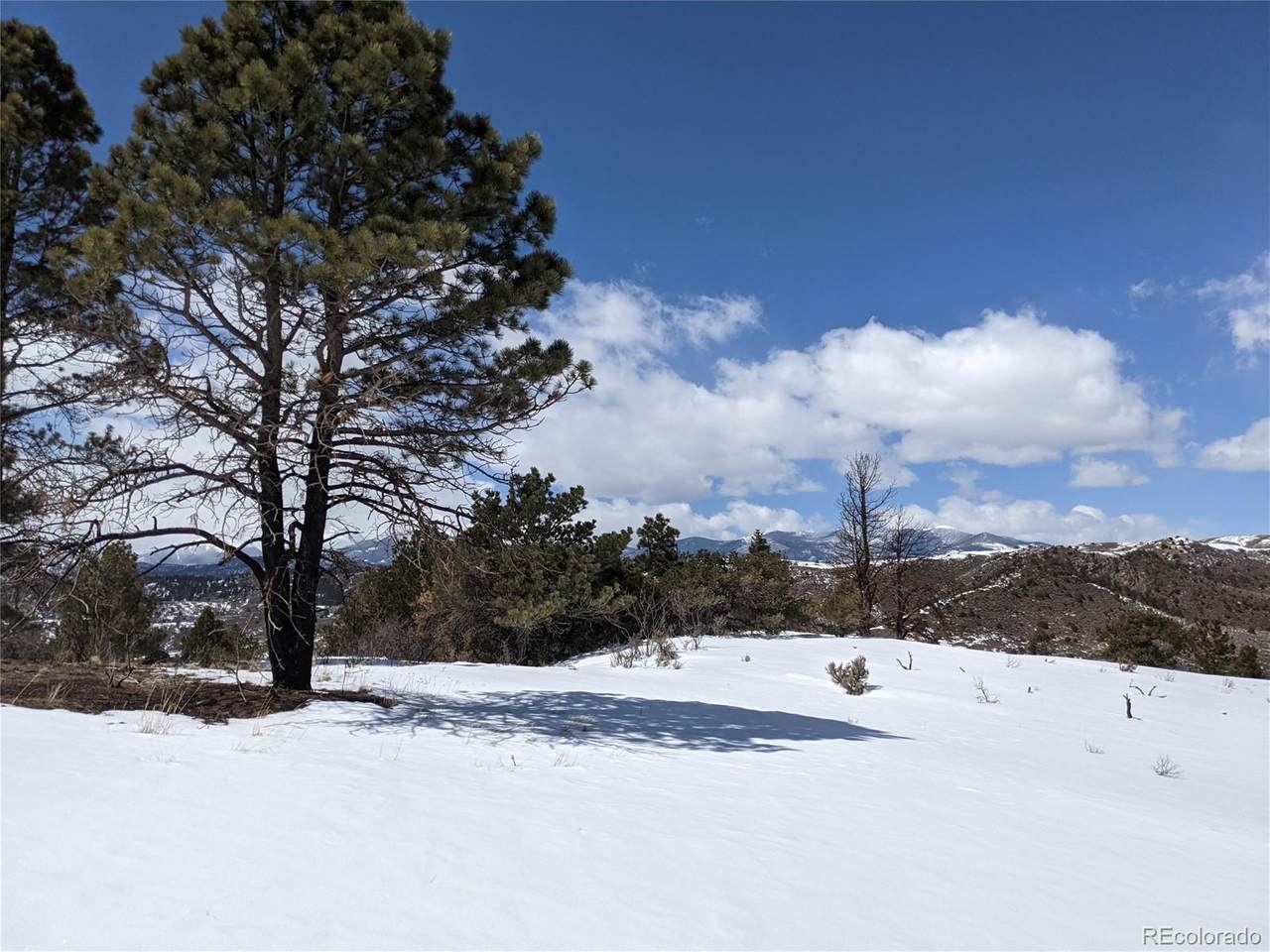 101 Wagon Mesa Loop - Photo 1