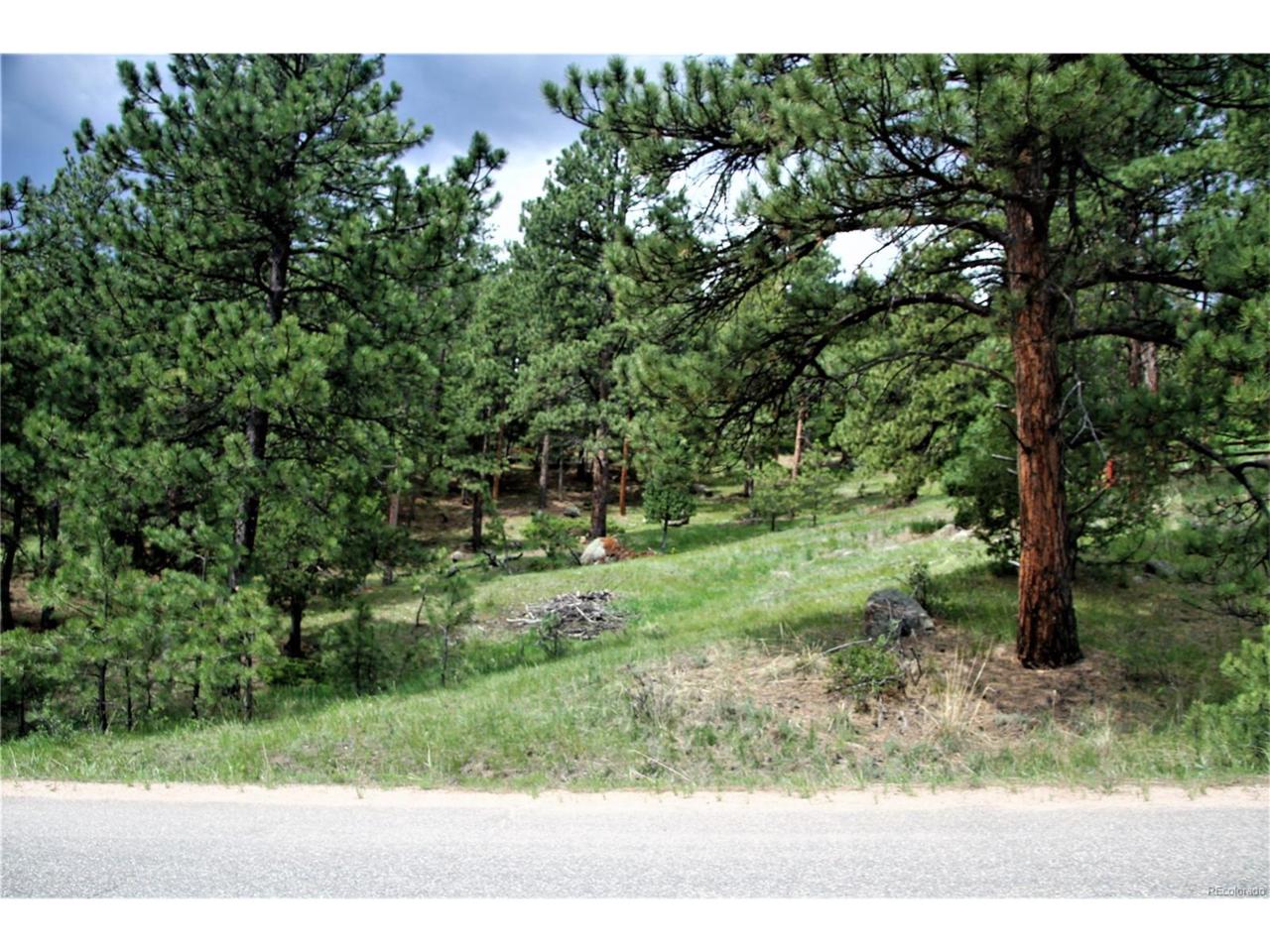 Alpine Drive - Photo 1