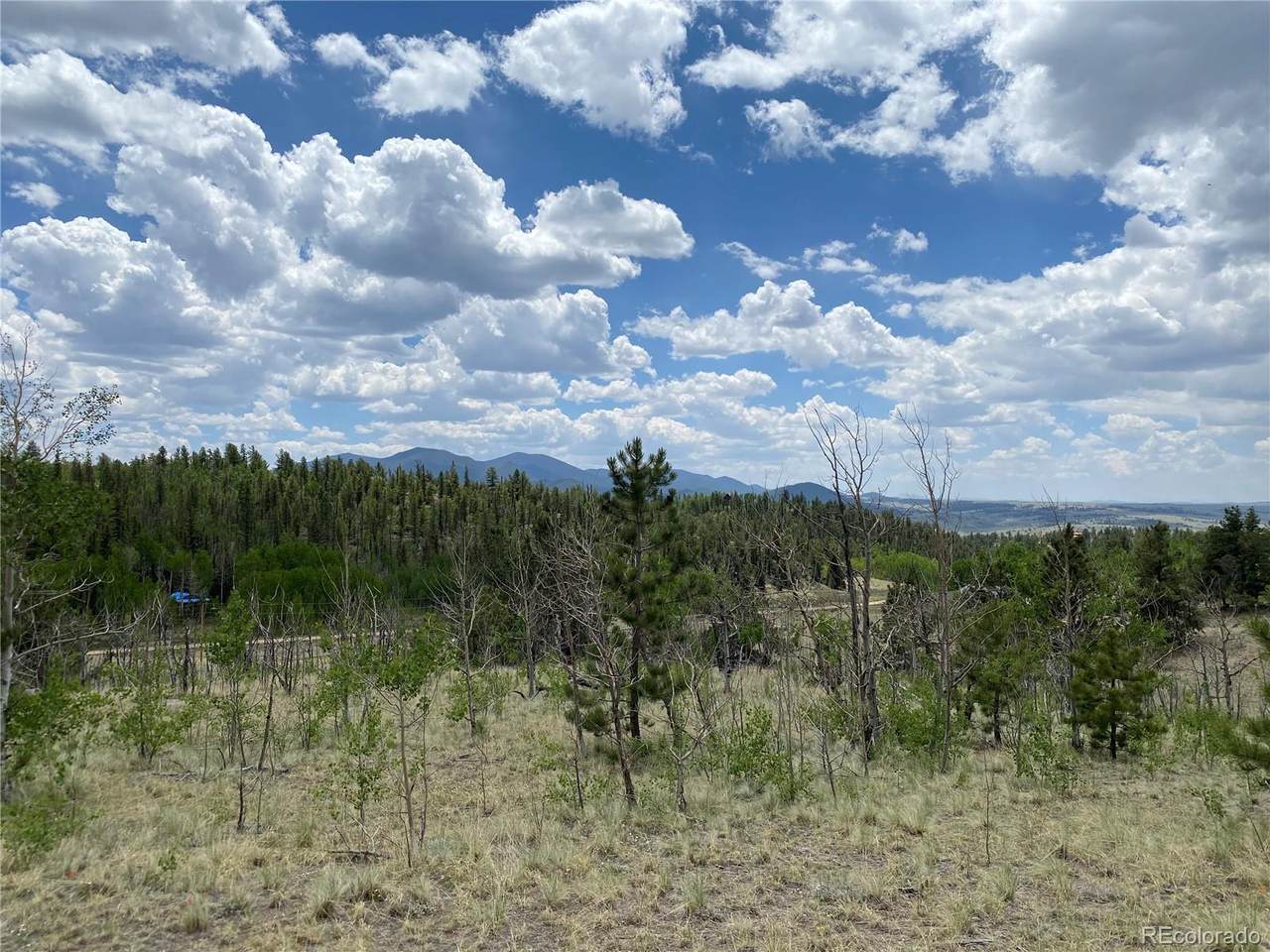 0 TBD Al Gulch Road - Photo 1