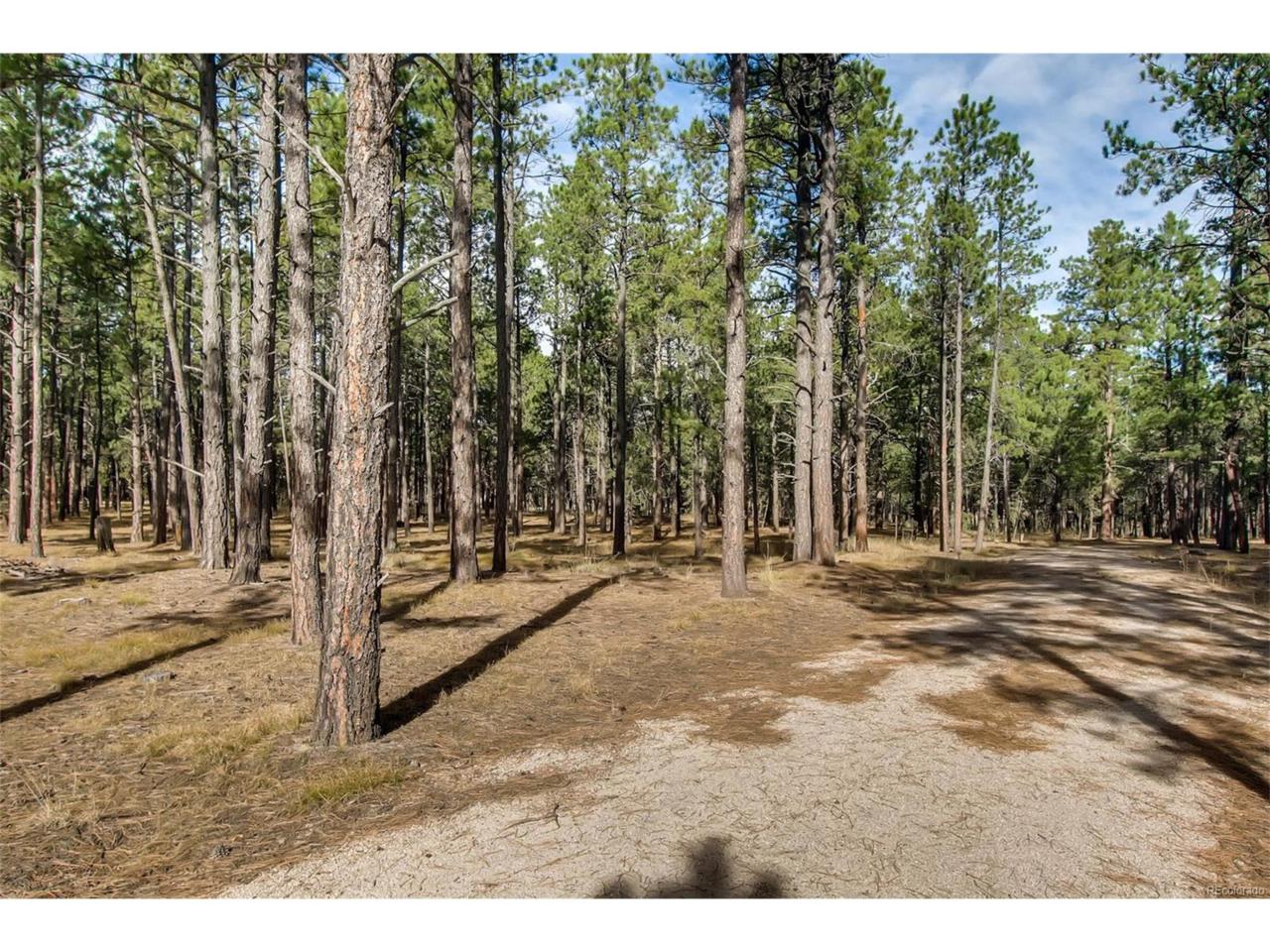 10920 Hardy Road - Photo 1