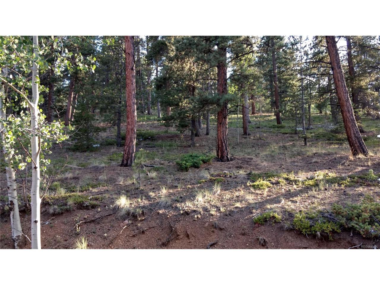133 Brown Street, Bailey, CO 80421 (MLS #9367094) :: 8z Real Estate