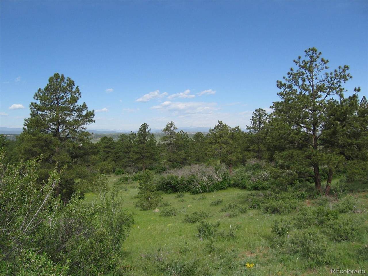 8755 Lost Lake Drive - Photo 1