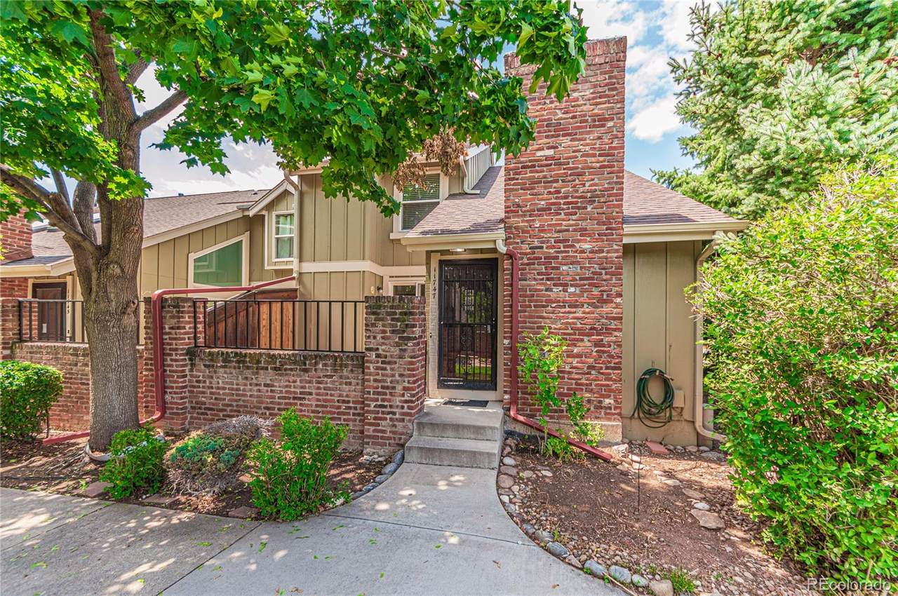 11747 Elk Head Range Road - Photo 1