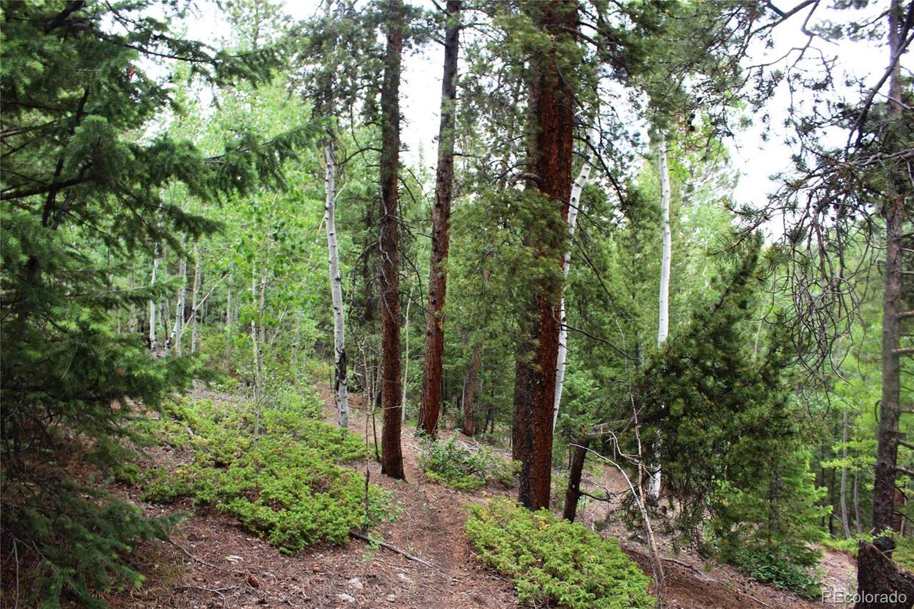 300 Golconda Mine Road - Photo 1