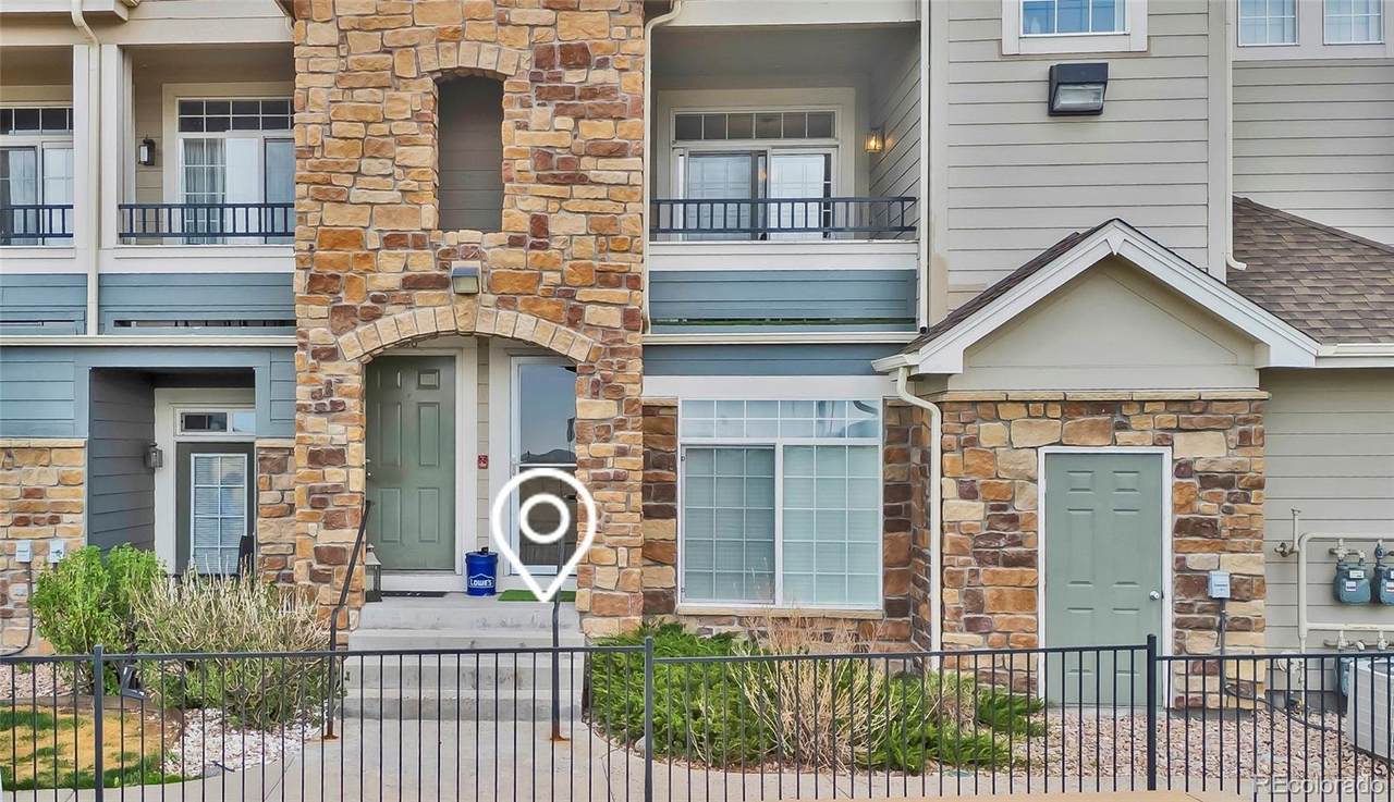 488 Black Feather Loop - Photo 1