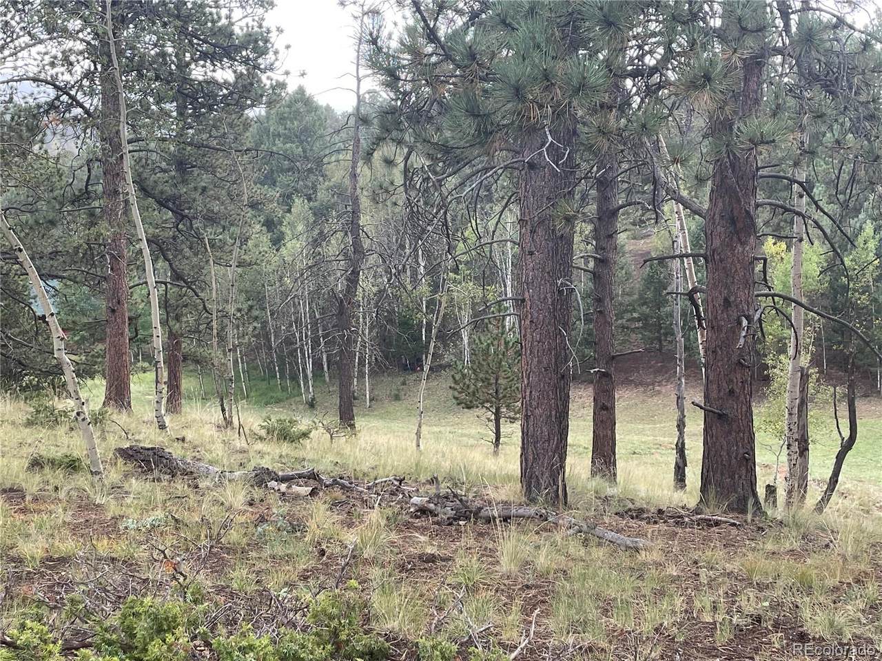 37 Summit Lake Drive - Photo 1