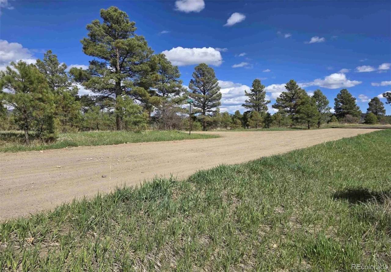 484 Prospect Boulevard - Photo 1