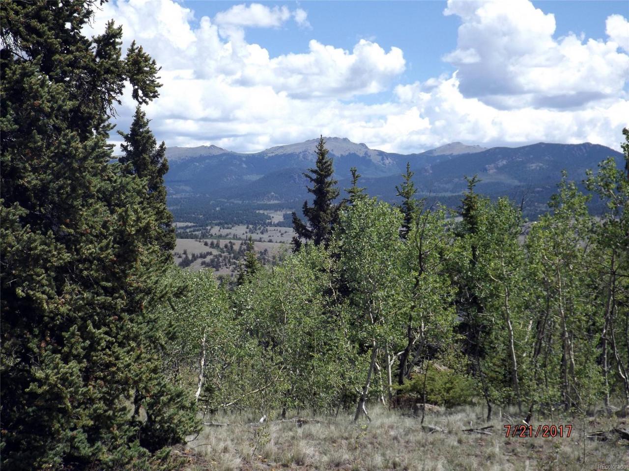 1099 Wells Fargo Circle, Jefferson, CO 80456 (MLS #9627539) :: 8z Real Estate