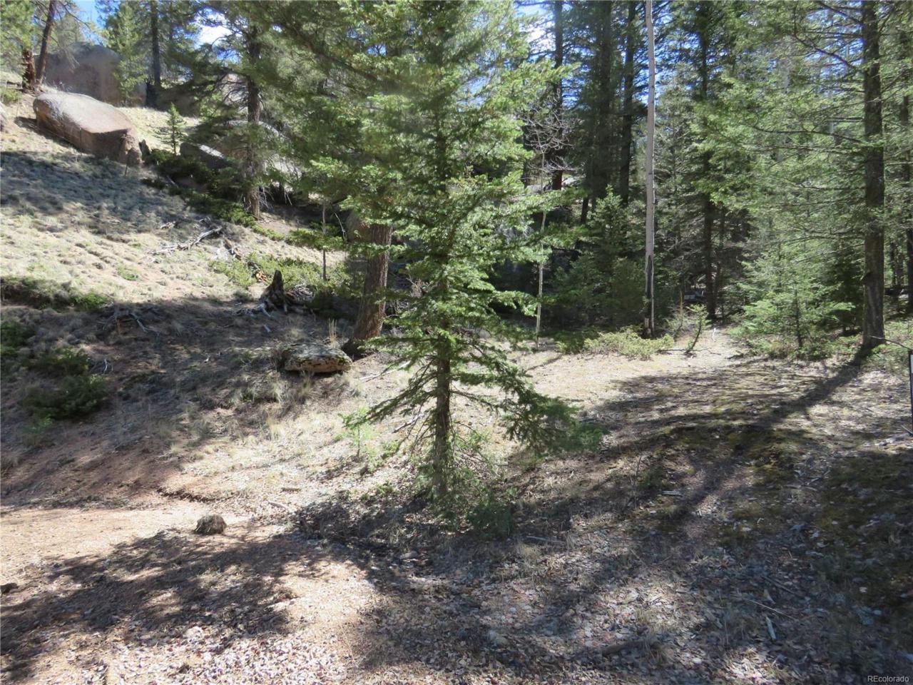 52 Warrior Circle - Photo 1