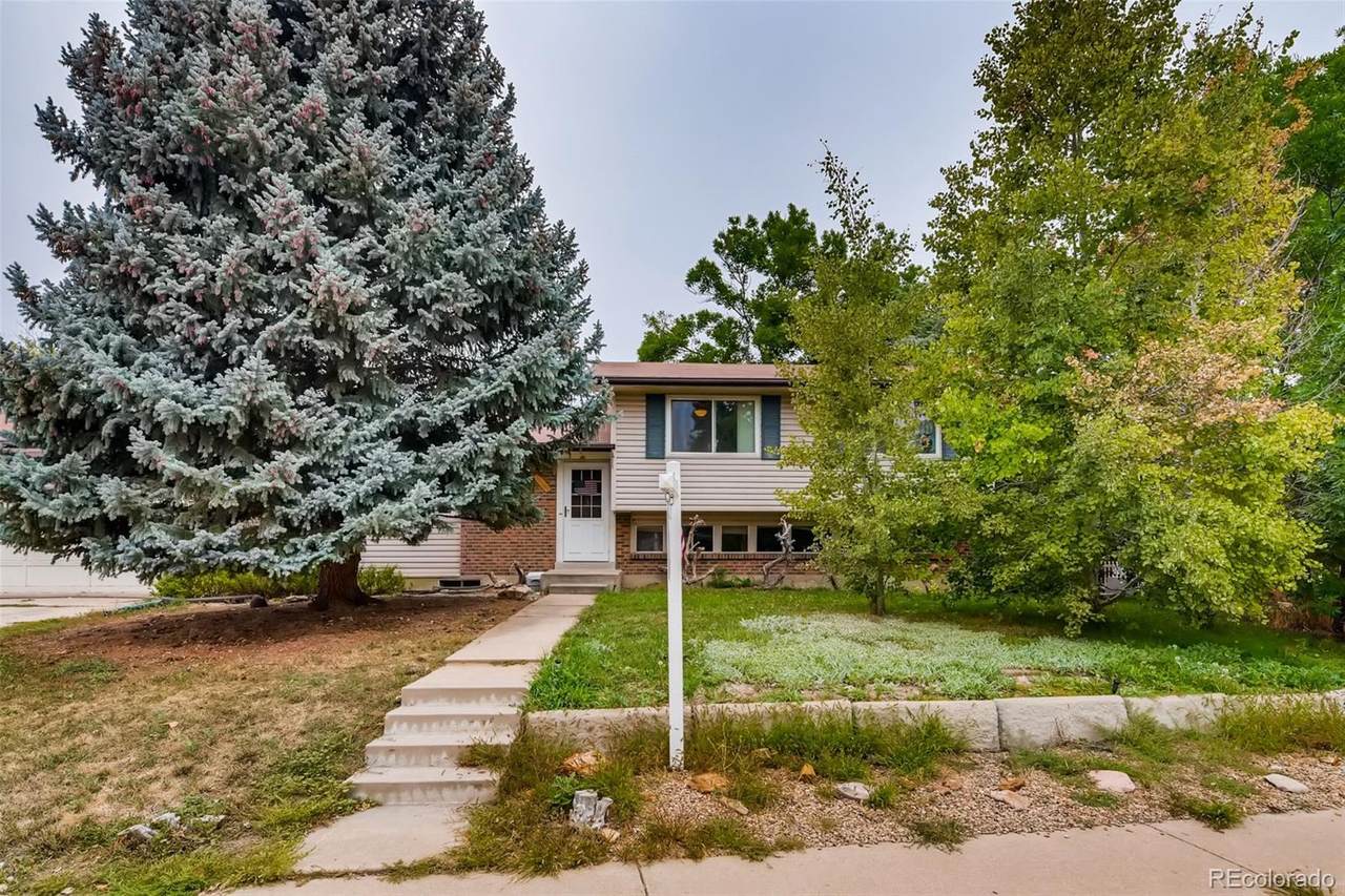 10641 Utrillo Lane - Photo 1