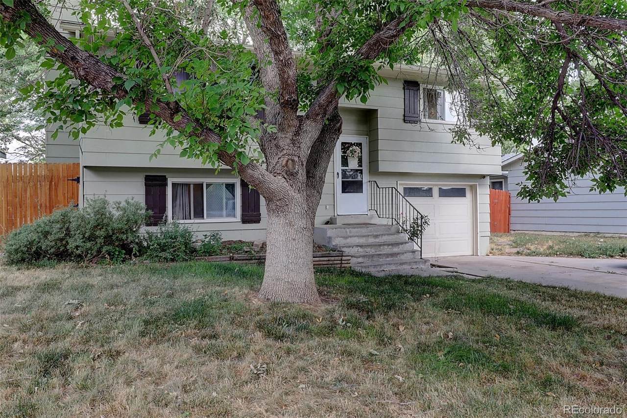 8209 Mummy Range Drive - Photo 1