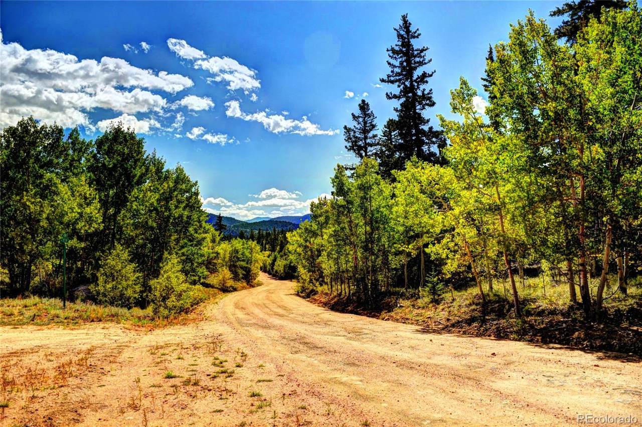 1233 Teton Trail - Photo 1