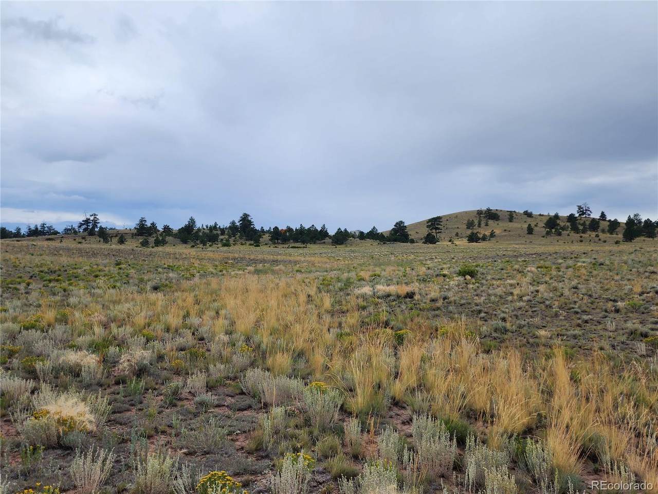 547 Thrush Lane - Photo 1