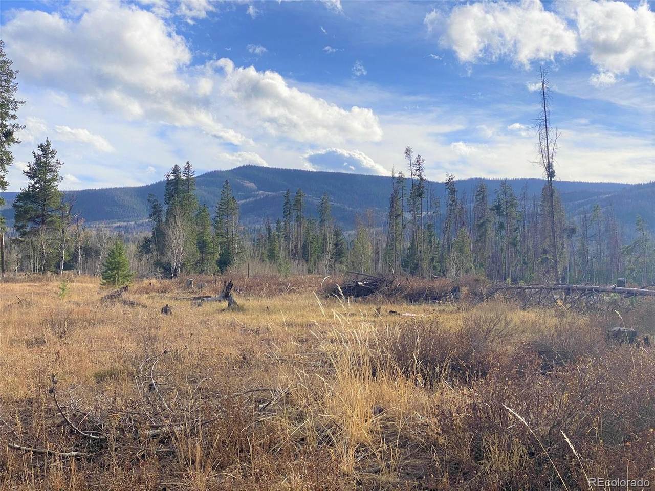 000 Halter Trail - Photo 1