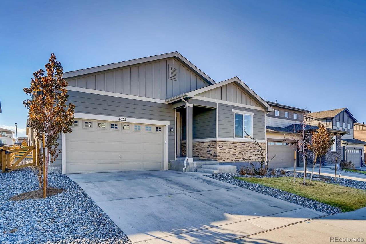4635 Odessa Street - Photo 1