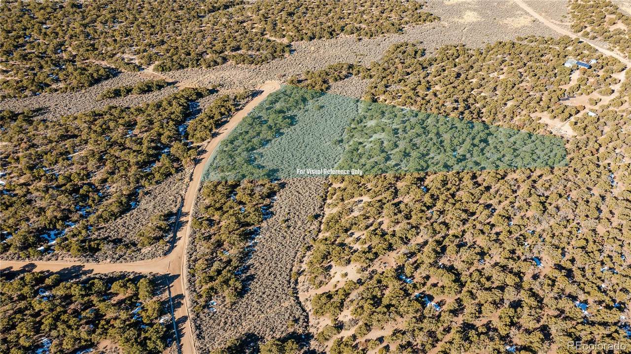  Creelman Drive - Photo 1