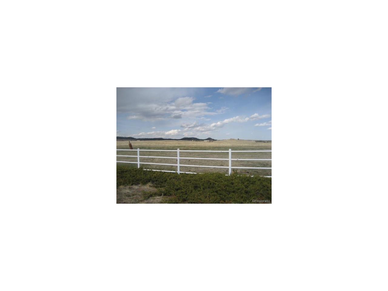 15050 Murphy Road - Photo 1