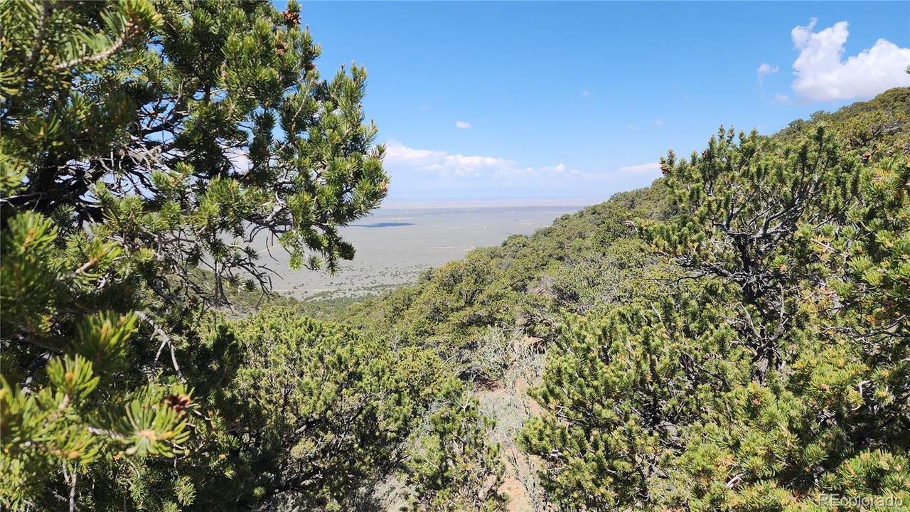 5039 Mamouche Road - Photo 1