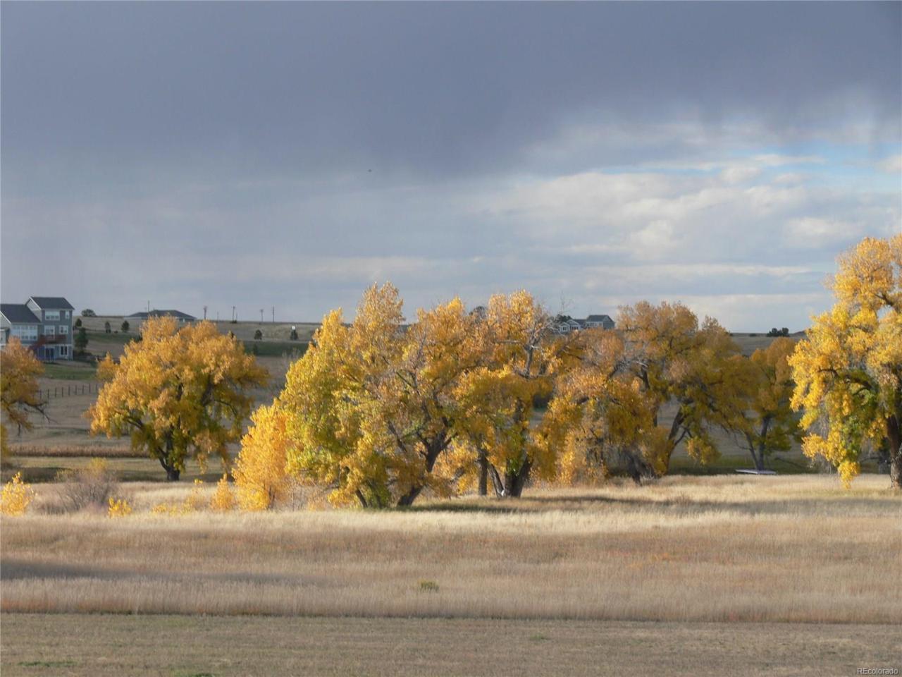 Paintbrush Lane, Parker, CO 80138 (MLS #9820690) :: 8z Real Estate