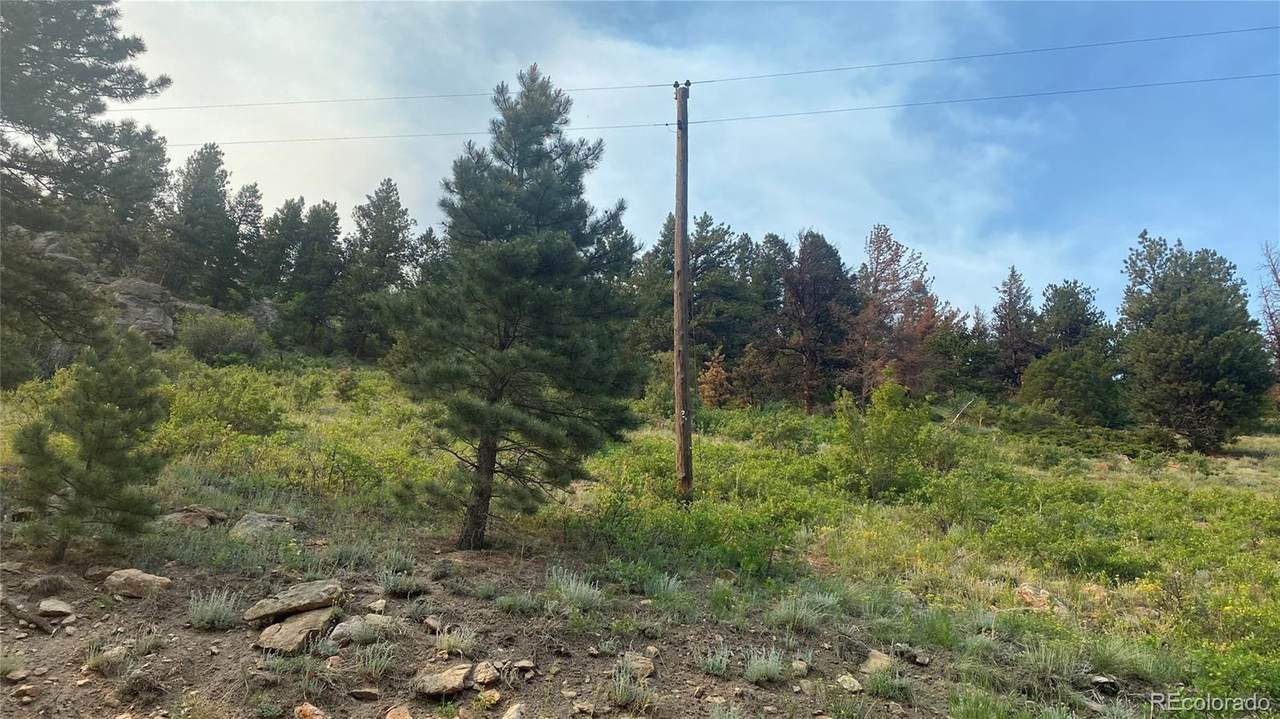 TBD Apex Valley Road - Photo 1
