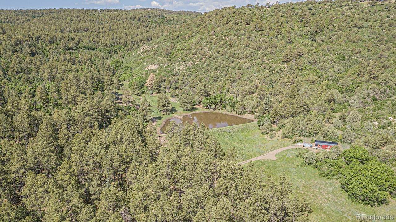 33089 Lodgepole Trace - Photo 1