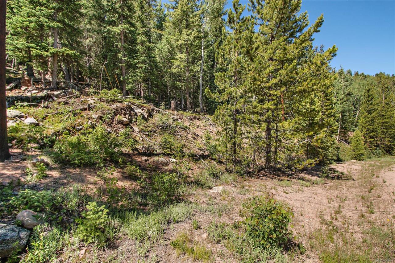 10229 Christopher Drive - Photo 1