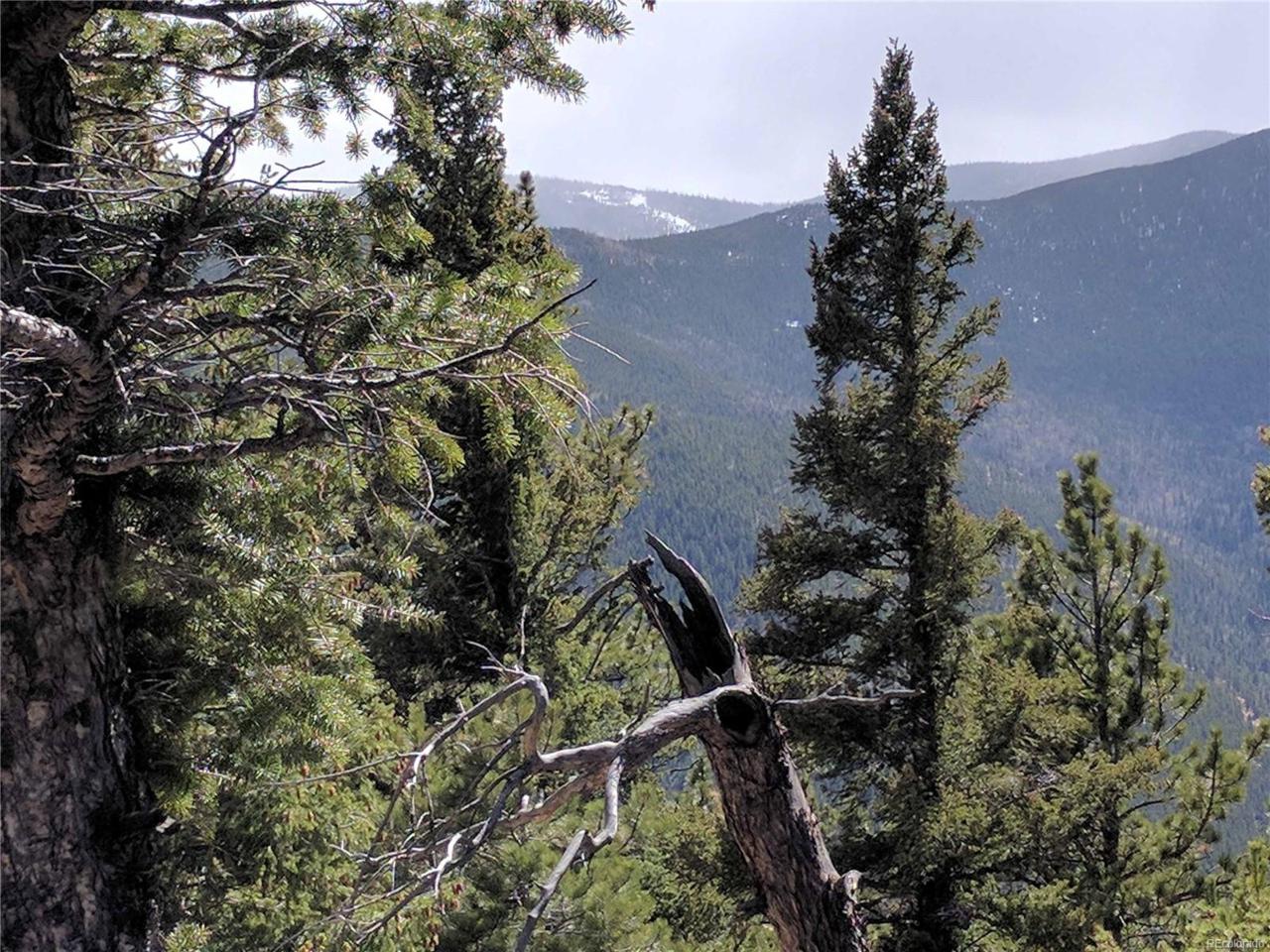 Wild Wagoner Trail - Photo 1