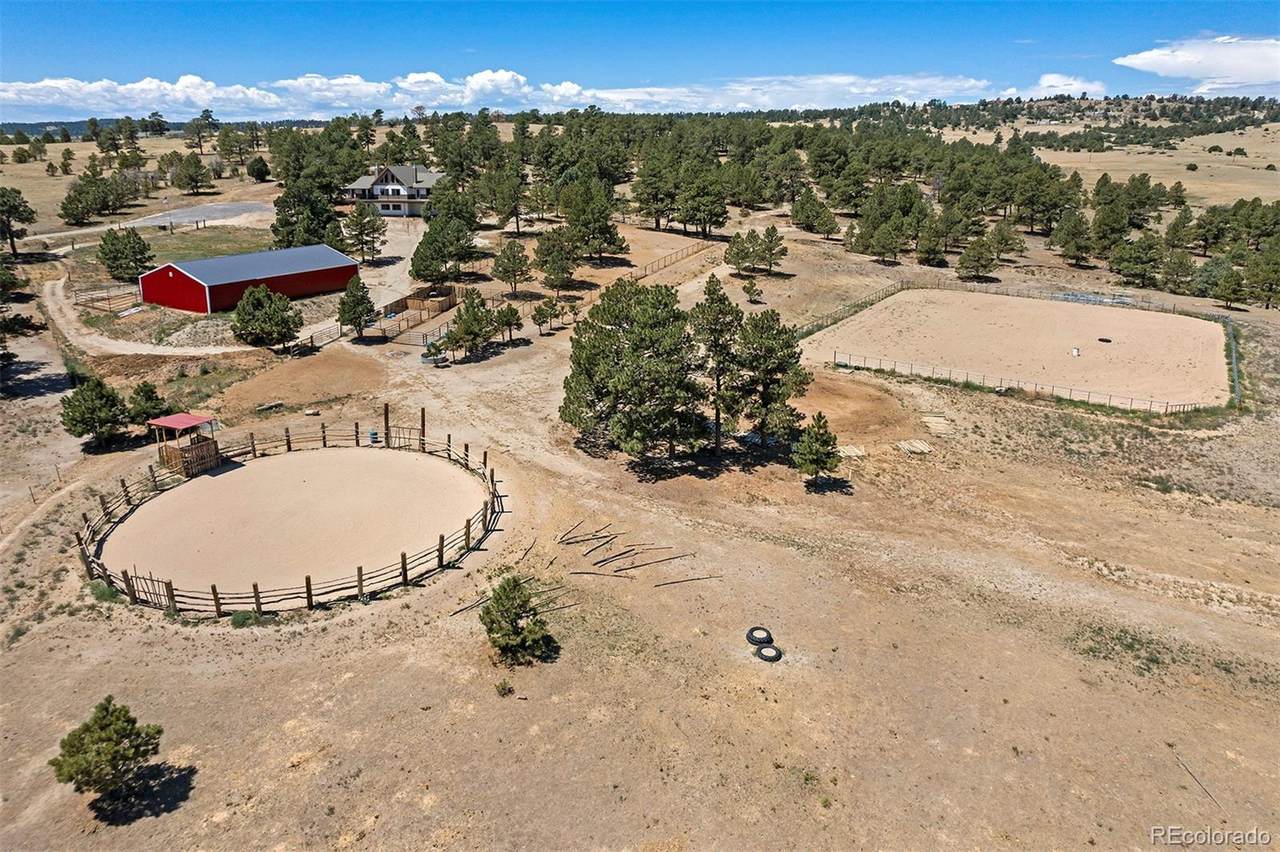 30777 Magic Dog Circle - Photo 1