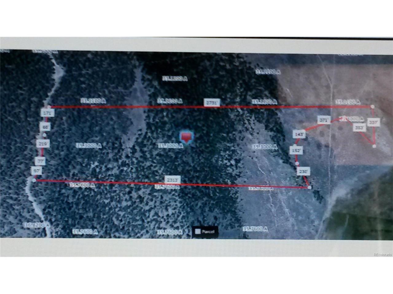 Tract 44 White Tail Road - Photo 1