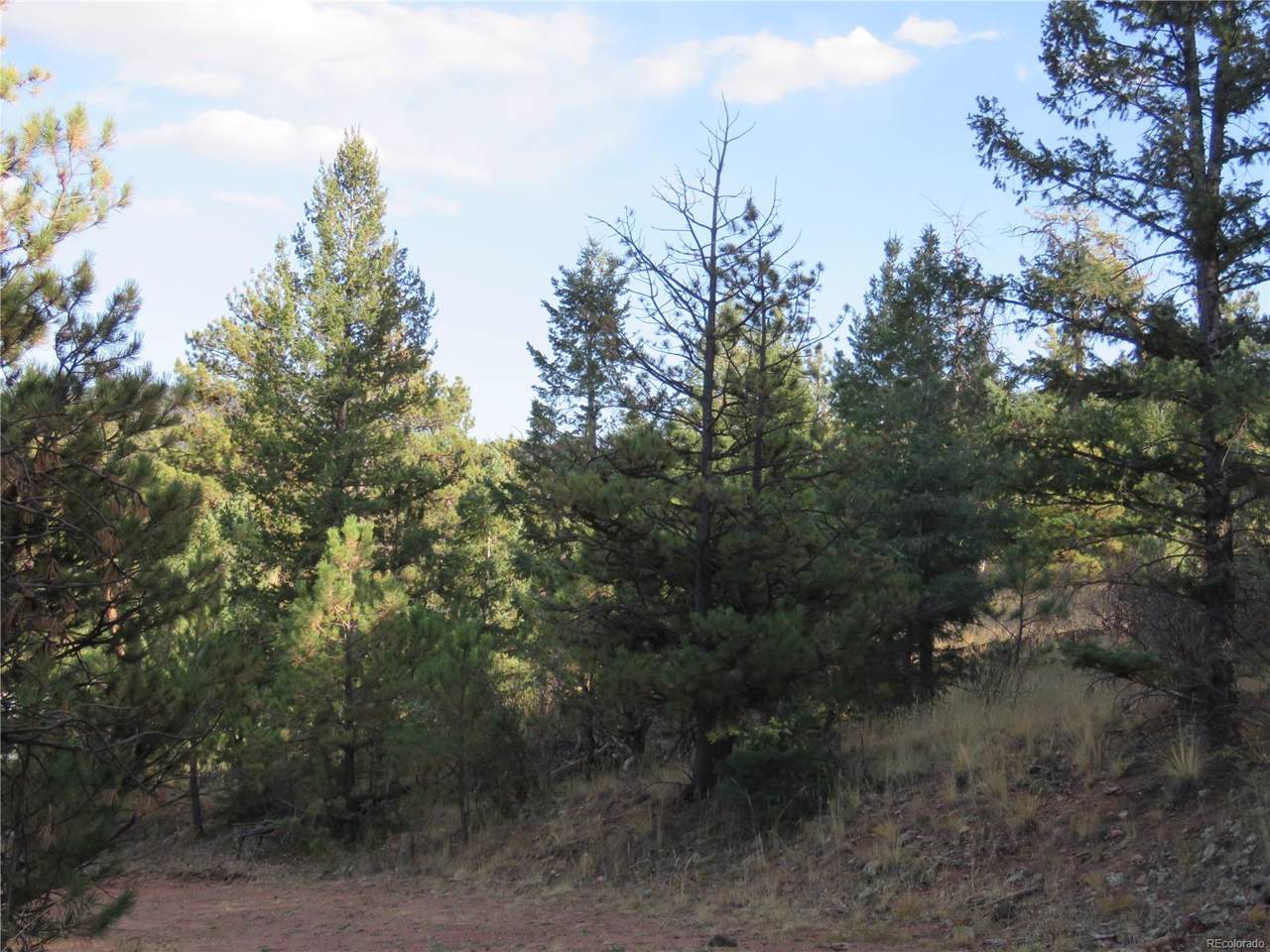 4943 County Road 11 - Photo 1