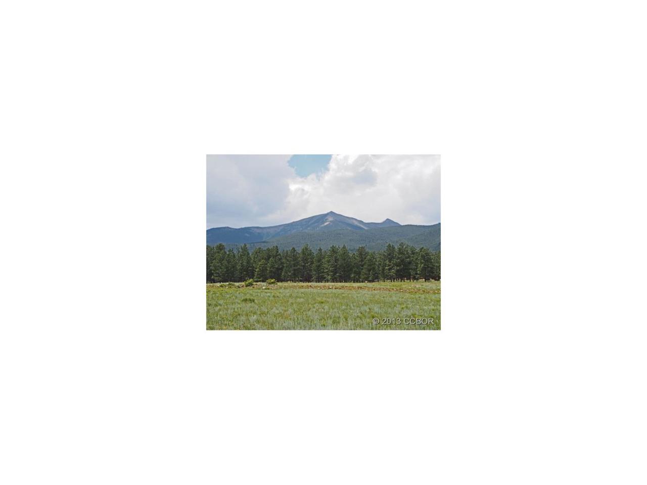 000 Wagon Trail - Photo 1